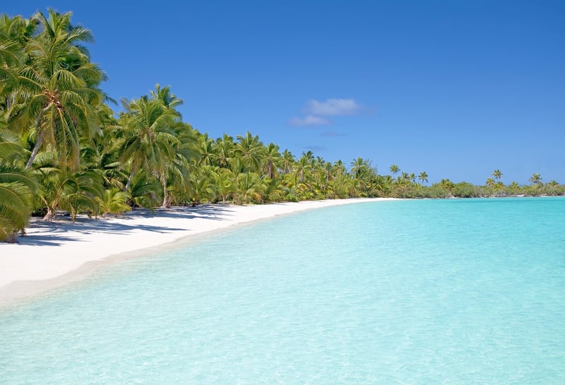 Tropical Oasis Paradises
